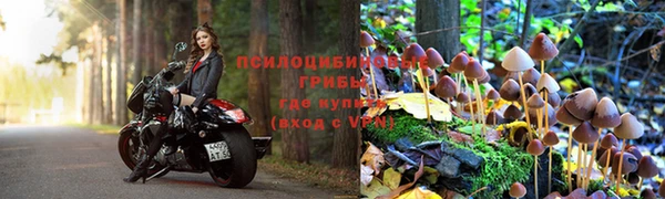 ALPHA PVP Лиски