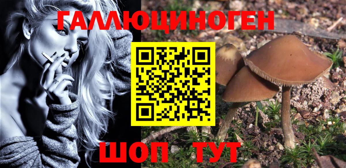 Псилоцибиновые грибы мухоморы  Псилоцибиновые грибы Psilocybe  Вход с VPN  Лыткарино 