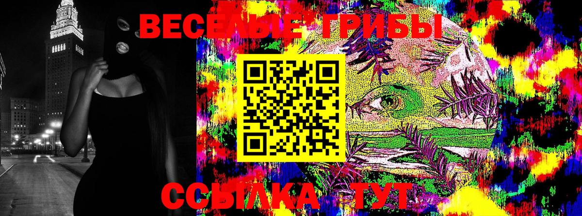 Псилоцибиновые грибы GOLDEN TEACHER Лыткарино